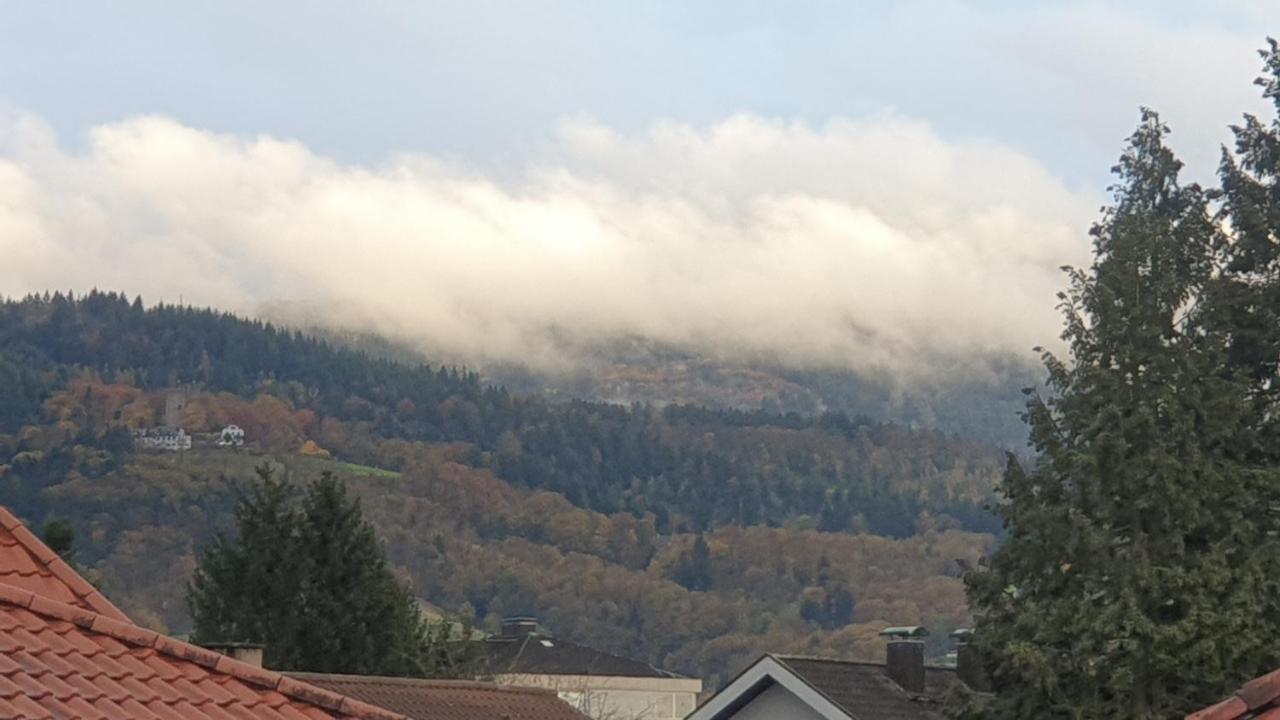 Boardingappartement Windeckblick, Ruhige, Zentrale Lage Mit Grossem Suedbalkon Buehl