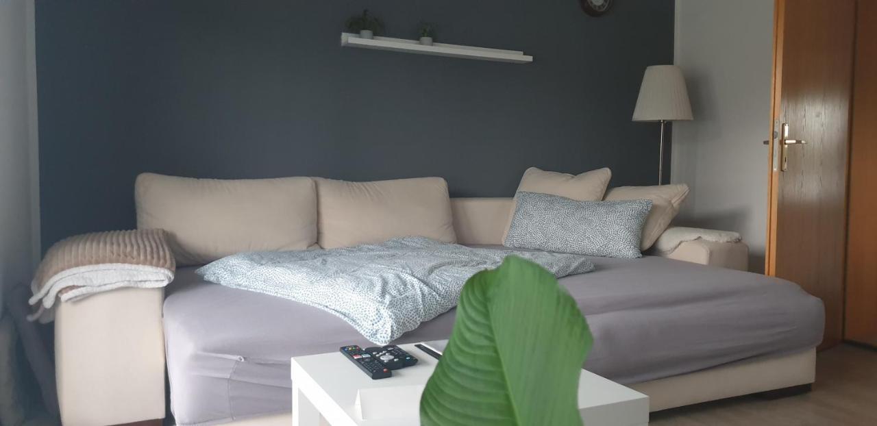 Boardingappartement Windeckblick, Ruhige, Zentrale Lage Mit Grossem Suedbalkon Apartment Buehl
